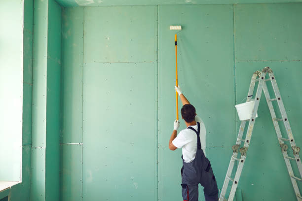 Best Basement Mold Removal  in Clay, CA