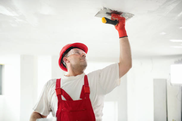 Mold Remediation for Vacation Homes in Clay, CA