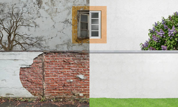 Best Mold Documentation for Insurance Claims  in Clay, CA