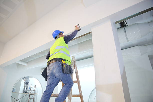 Mold Odor Removal Services in Clay, CA
