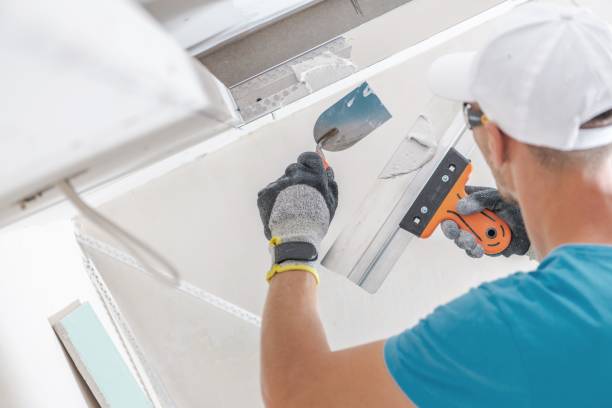 Professional Mold Removal in Clay, CA